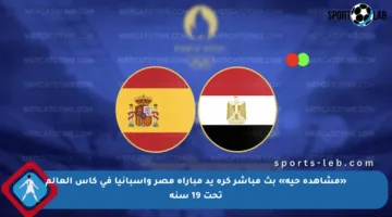 «مشاهدة حية» بث مباشر كرة يد مباراة مصر وإسبانيا في كأس العالم تحت 19 سنة